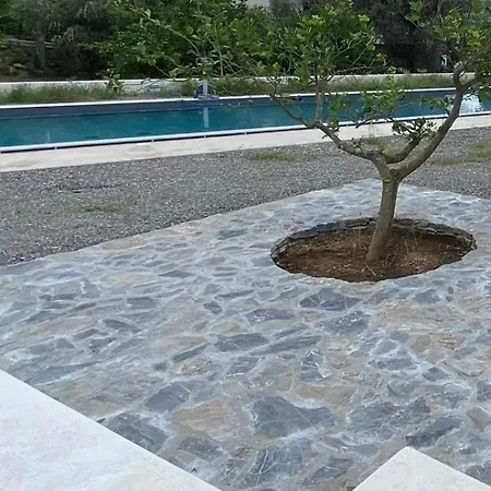 Oceri