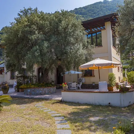 Oceri